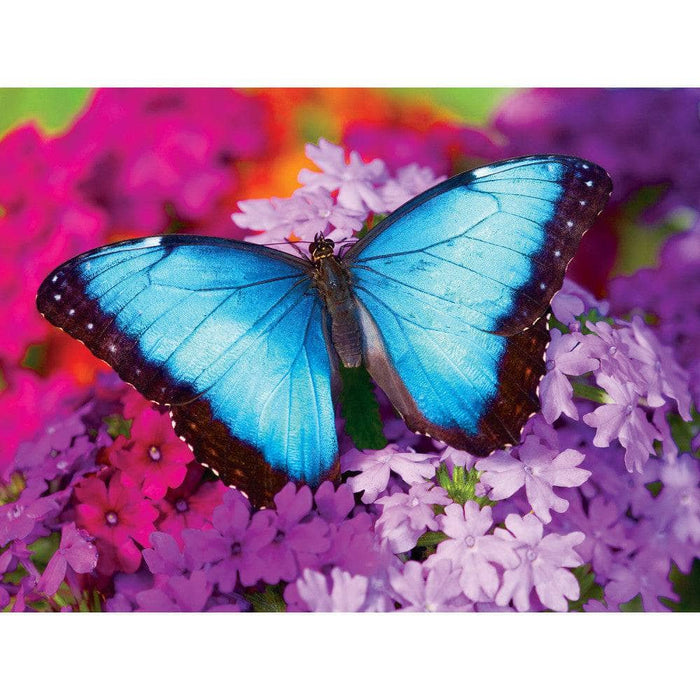 Brilliance - Iridescence 550 Piece Jigsaw Puzzle - for just $14.99! 