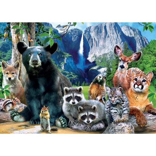 Yosemite National Park 500 Piece Jigsaw Puzzle - Just $14.99! Shop now at Retro Gaming of Denver