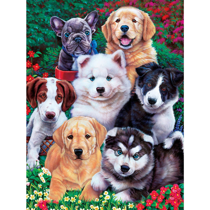 Playful Paws - Fluffy Fuzzballs 300 Piece EZ Grip Jigsaw Puzzle - for just $14.99! 