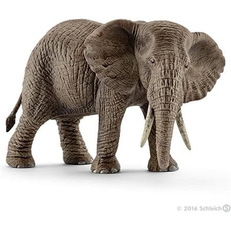 African Elephant, Female - Just $9.95! Shop now at Retro Gaming of Denver