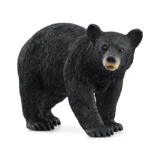 American Black Bear - Just $8.95! Shop now at Retro Gaming of Denver