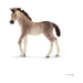 Andalusian Foal - Just $5.95! Shop now at Retro Gaming of Denver