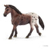 Appaloosa Mare - Just $8.95! Shop now at Retro Gaming of Denver