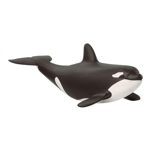 Baby Orca - Just $5.95! Shop now at Retro Gaming of Denver