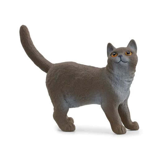 British Shorthair Cat - Premium Imaginative Play - Just $4.95! Shop now at Retro Gaming of Denver