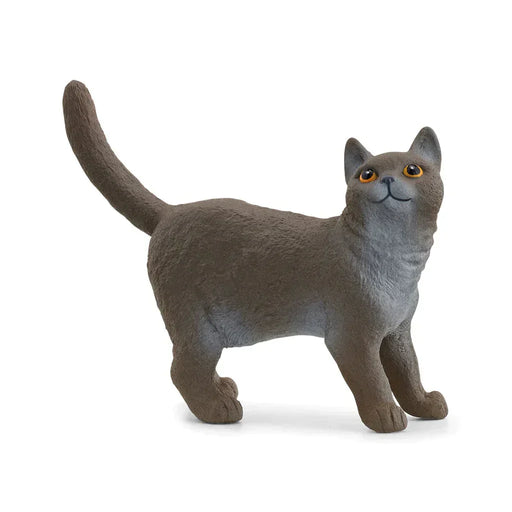 British Shorthair Cat - Just $4.95! Shop now at Retro Gaming of Denver