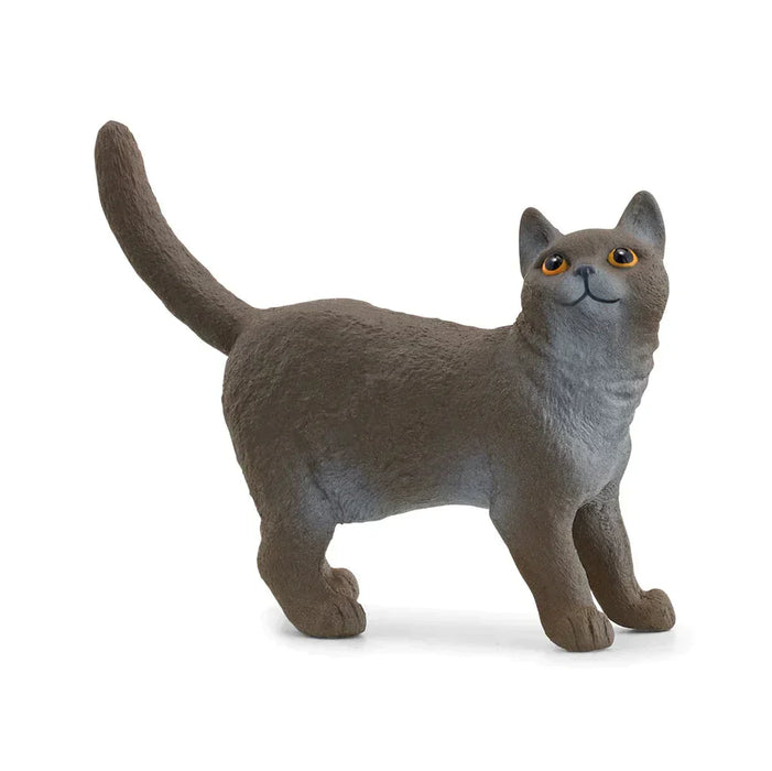 British Shorthair Cat - Just $4.95! Shop now at Retro Gaming of Denver