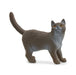 British Shorthair Cat - Just $4.95! Shop now at Retro Gaming of Denver