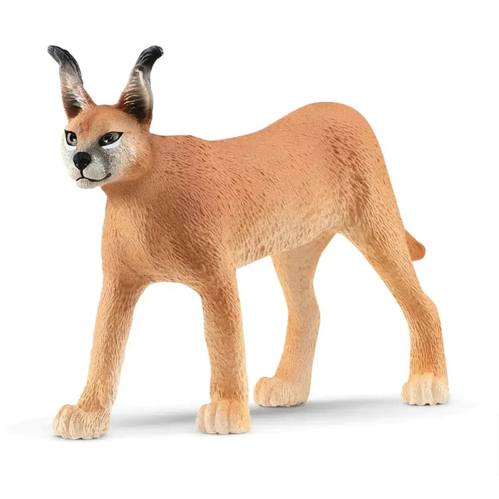 Caracal Female - Just $5.95! Shop now at Retro Gaming of Denver