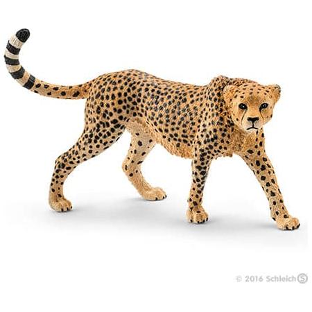 Cheetah, Female - Premium Imaginative Play - Just $7.55! Shop now at Retro Gaming of Denver