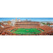 Cincinnati Bengals - 1000 Piece Panoramic Jigsaw Puzzle - for just $19.99! 