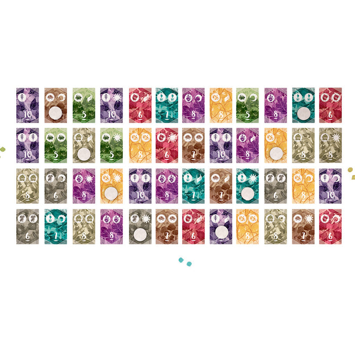 Spirits of the Forest - for just $20! 