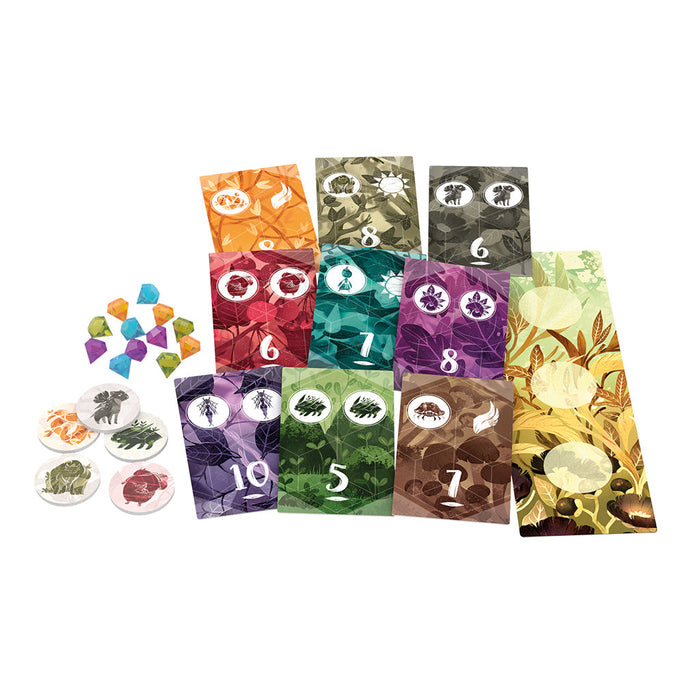 Spirits of the Forest - for just $20! 