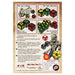 Zombie Dice - Horde Edition - for just $29.95! 