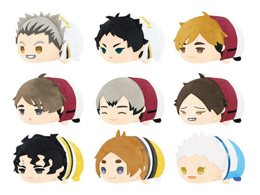 Haikyuu!! Mochi Mochi Mascot Vol.5 Blind Box – SK Japan - for just $18.99! 