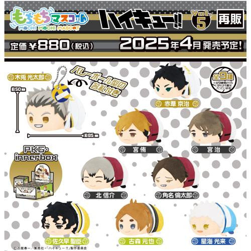 Haikyuu!! Mochi Mochi Mascot Vol.5 Blind Box – SK Japan - for just $18.99! 