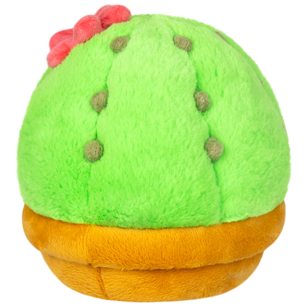 Squishable Cactus (Snugglemi Snackers) - for just $13! 