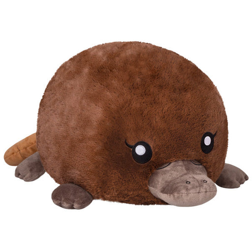 Squishable Baby Platypus (Standard) - for just $45! 