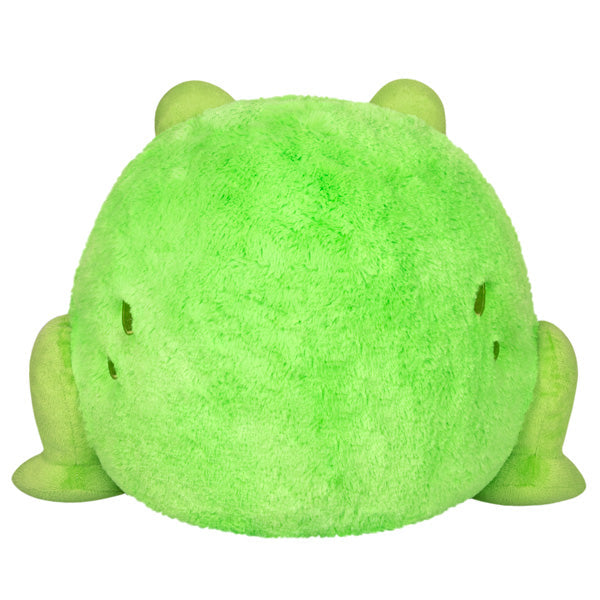 Squishable Frog (Standard) - for just $46! 