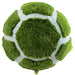 Squishable Sea Turtle (Standard) - for just $46! 