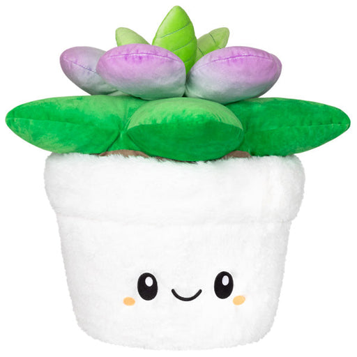 Squishable Succulent (Standard) - for just $48! 