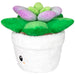 Squishable Succulent (Standard) - for just $48! 