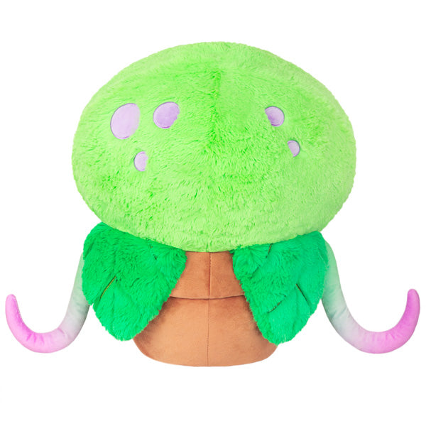Squishable Venus Fly Trap (Standard) - for just $49! 
