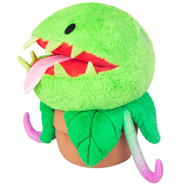 Squishable Venus Fly Trap (Standard) - for just $49! 