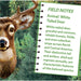 White Tail Deer 100 Piece Shaped Jigsaw Puzzle - Just $7.99! Shop now at Retro Gaming of Denver