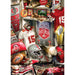 Ohio State Buckeyes - Locker Room 500 Piece Jigsaw Puzzle - Just $16.99! Shop now at Retro Gaming of Denver