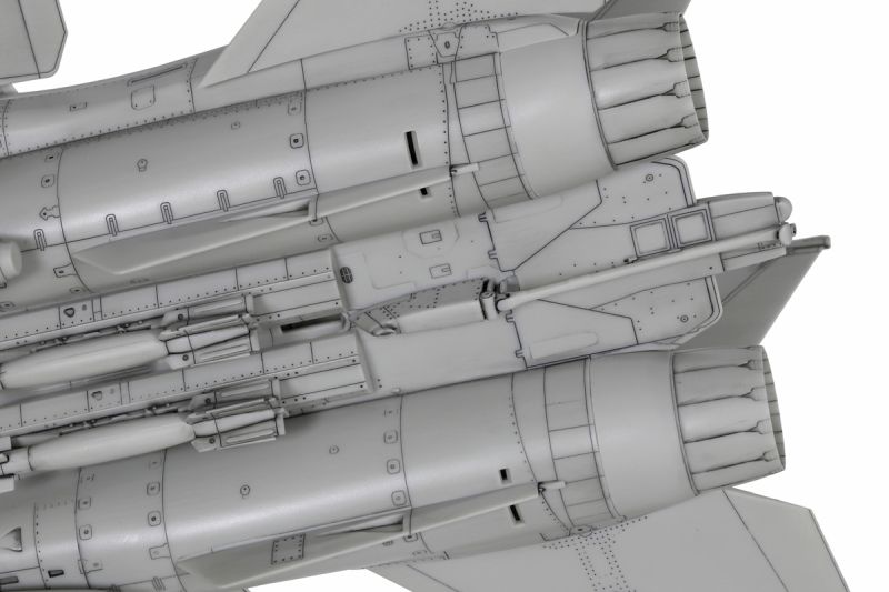 1/72 Grumman F-14D Tomcat Plastic Model - for just $40.80! 