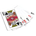 San Francisco 49ers 300 Piece Poker Set - for just $124.99! 