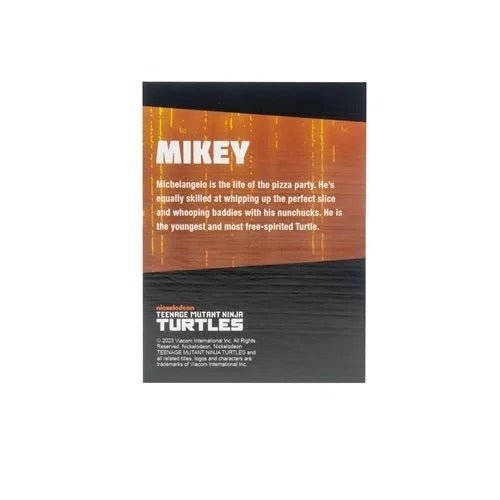 Teenage Mutant Ninja Turtles BST AXN Turtles IDW Comic Black and White 5-Inch Action Figure 4-Pack - SDCC 2023 Exclusive - for just $89.79! 