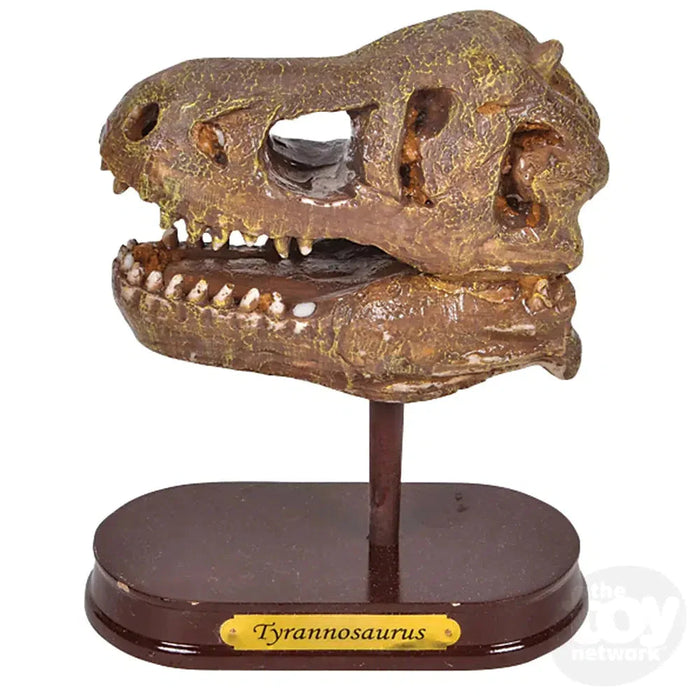 6.5" Dinosaur Skull Excavation Dig Kit T-Rex - Just $14.99! Shop now at Retro Gaming of Denver