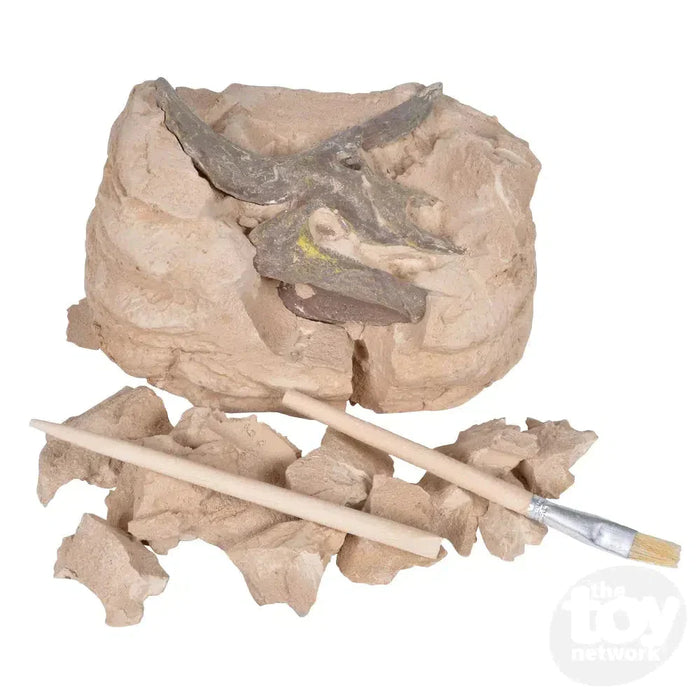 6.5" Dinosaur Skull Excavation Dig Kit Triceratops - Just $14.99! Shop now at Retro Gaming of Denver