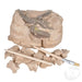 6.5" Dinosaur Skull Excavation Dig Kit Triceratops - Just $14.99! Shop now at Retro Gaming of Denver