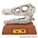 6.5" Dinosaur Skull Excavation Dig Kit Velociraptor - Just $14.99! Shop now at Retro Gaming of Denver