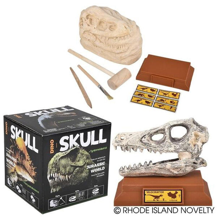 6.5" Dinosaur Skull Excavation Dig Kit Velociraptor - Just $14.99! Shop now at Retro Gaming of Denver