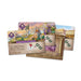Time of Empires - for just $89.99! 