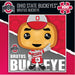 Ohio State Buckeyes - NCAA Mascot 100 Piece Jigsaw Puzzle - for just $7.99! 