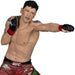 UFC SportsPicks 7-Inch Scale Posed Figure - Select Figure(s) - for just $39.99! 