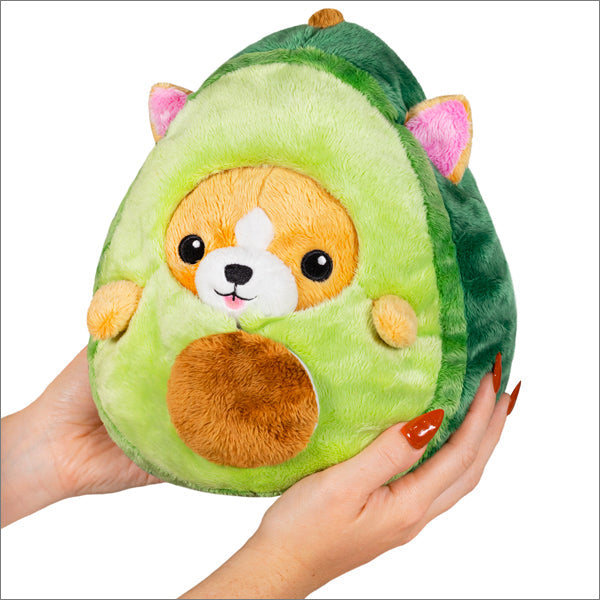 Squishable Corgi in Avocado (Undercover) - for just $30! 
