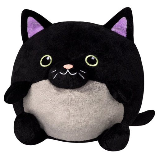 Squishable Kitty in Pumpkin (Undercover) - for just $30! 