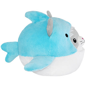 Squishable Kitty in Shark (Undercover) - for just $30! 