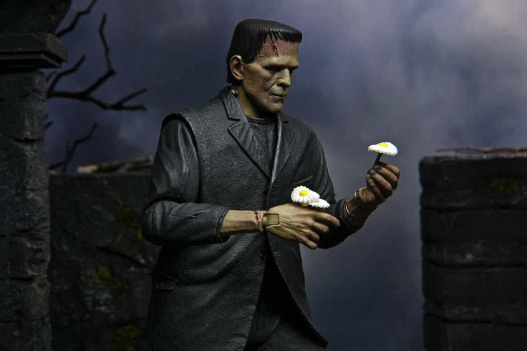 NECA Universal Monsters: Ultimate Frankenstein's Monster (COLOR) - for just $39.99! 