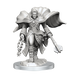 D&D: Nolzur's Marvelous Miniatures - Aasimar Cleric Male - for just $9.99! 
