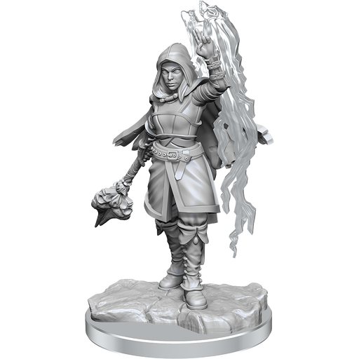 D&D: Nolzur's Marvelous Miniatures - Half-Elf Warlock - for just $5.99! 