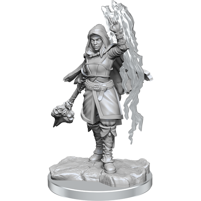 D&D: Nolzur's Marvelous Miniatures - Half-Elf Warlock - for just $5.99! 