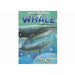 Build the Bones Whale - Just $14.99! Shop now at Retro Gaming of Denver