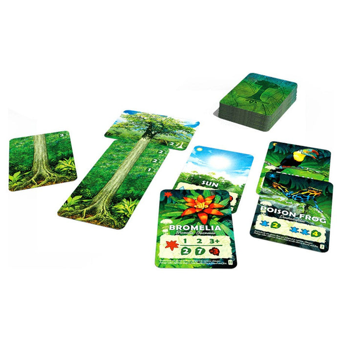 Canopy - for just $29.95! 